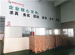 环境展示
